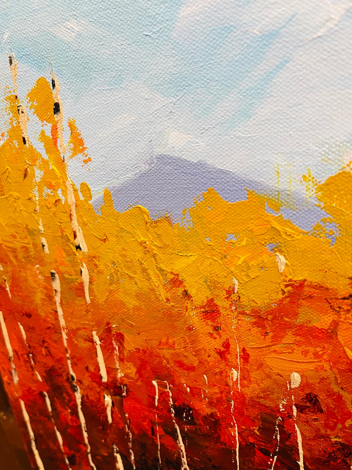 Fall colors Colorado Landscape - Flaming Foliage