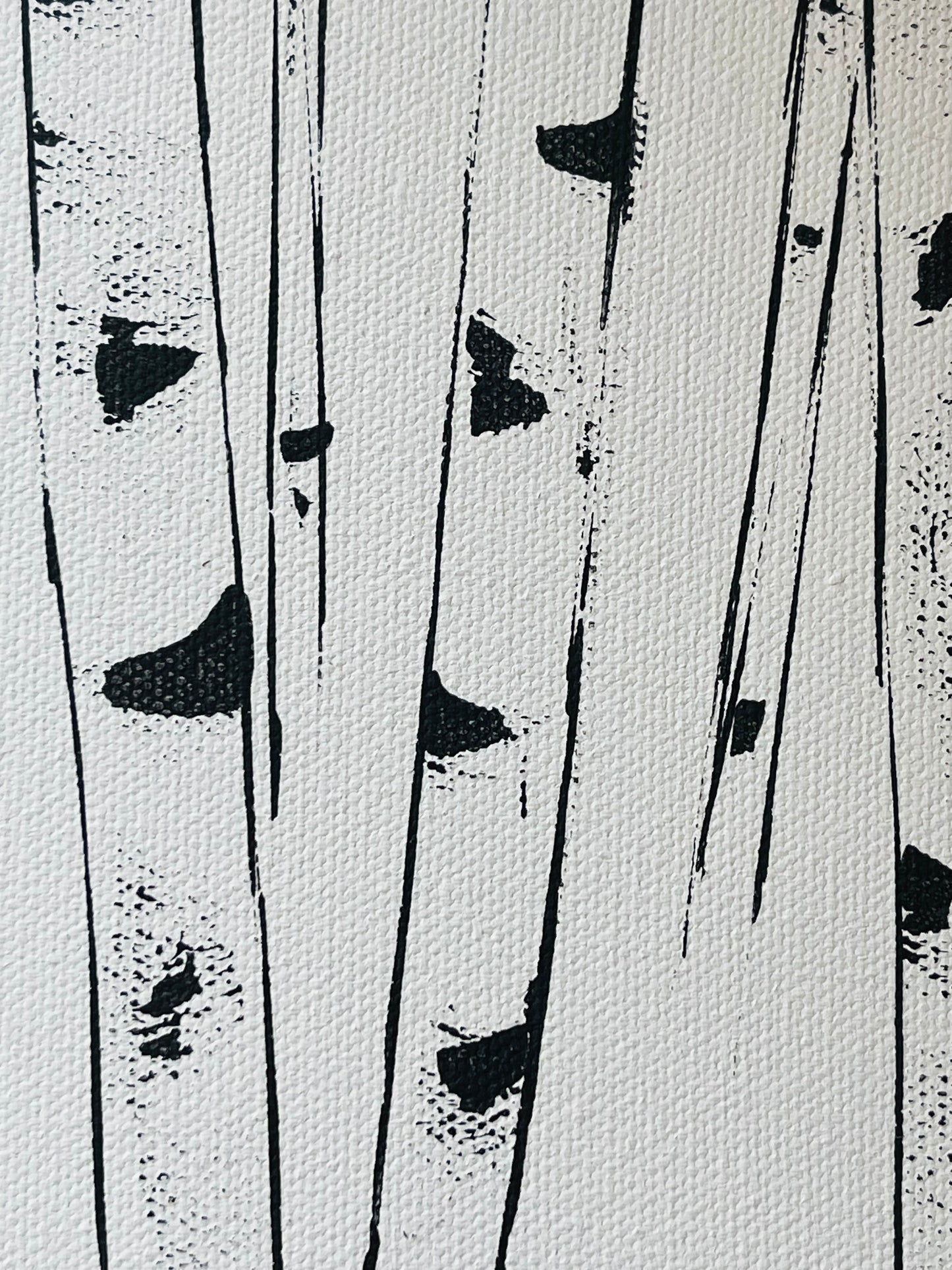 ZEN-Framed Black and White Aspens - Small