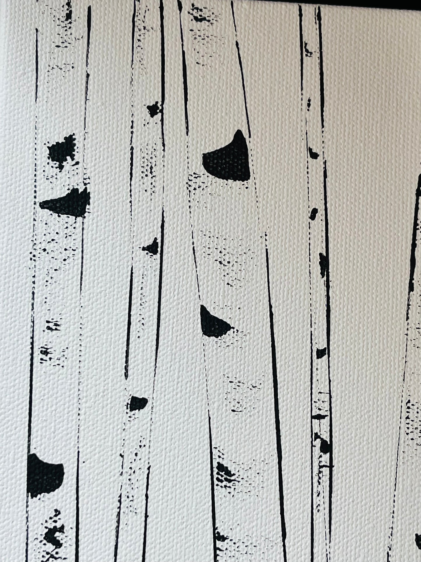 ZEN-Framed Black and White Aspens - Small