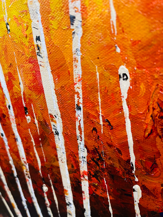 Fall colors Colorado Landscape - Flaming Foliage