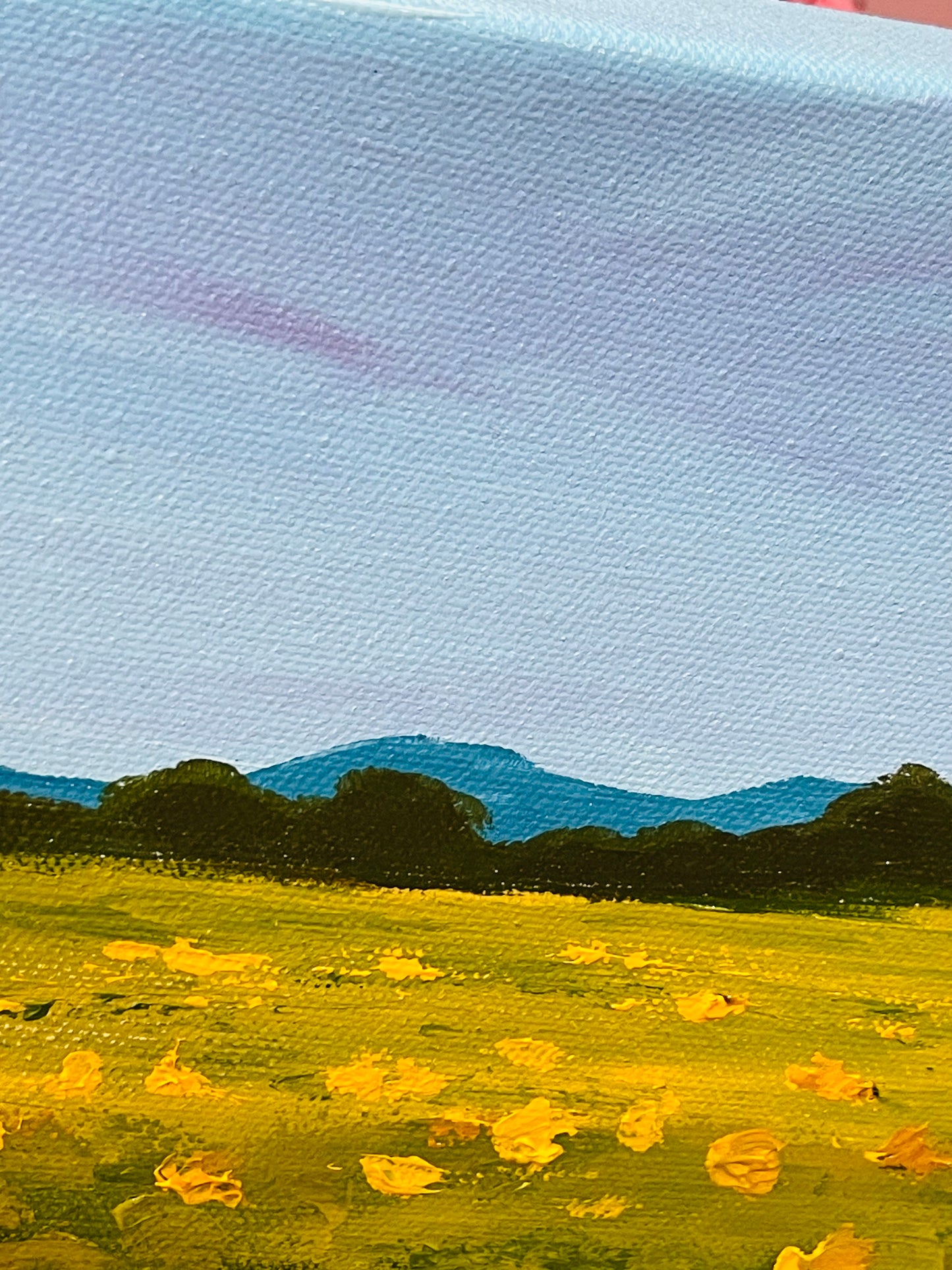 Sunflower field - Fields of Gold