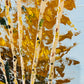Slopes of Serenity - Colorado Fall colors