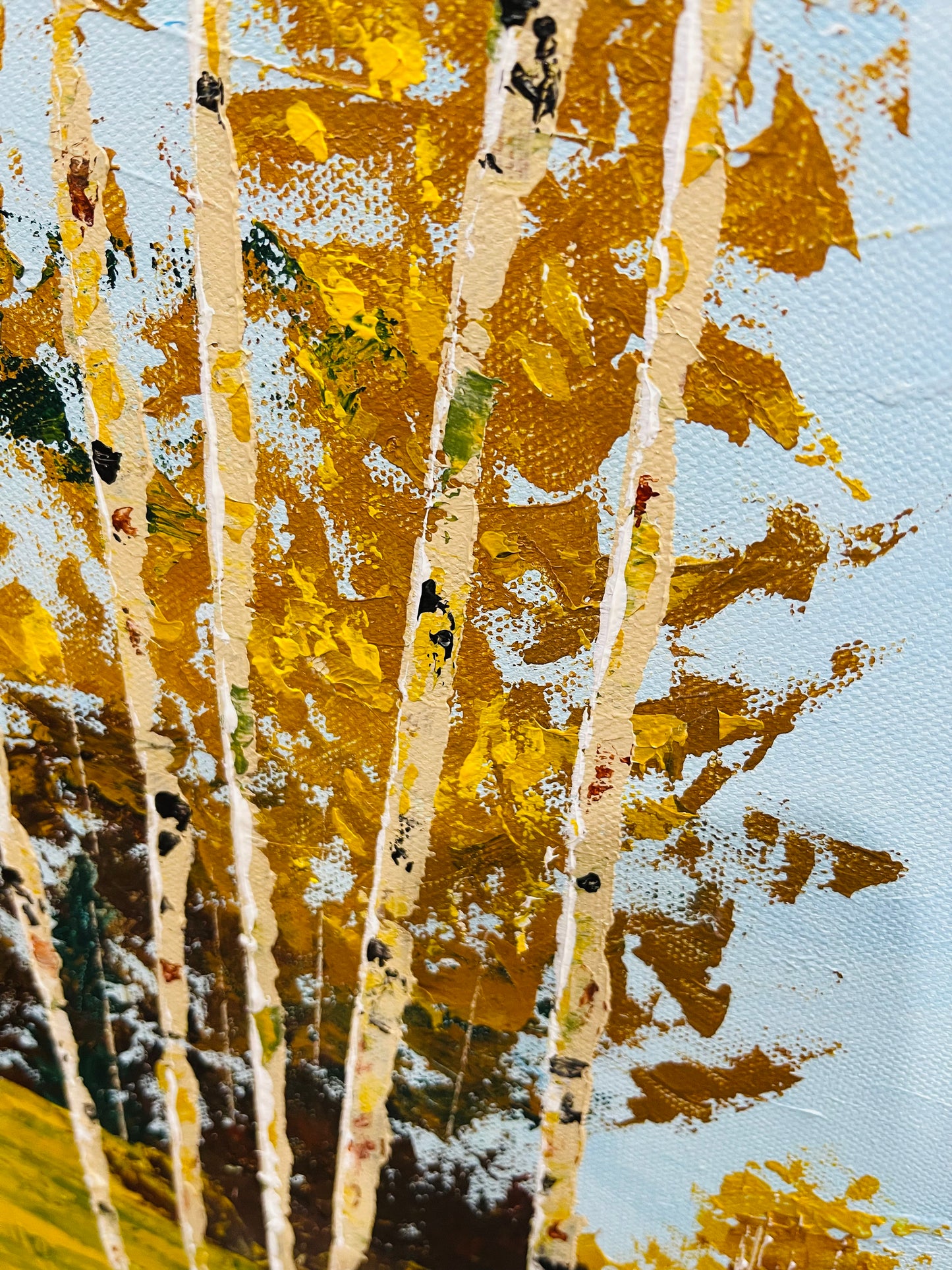 Slopes of Serenity - Colorado Fall colors