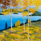 Aspen Trees near a Lake