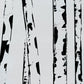 ZEN-Framed Black and White Aspens