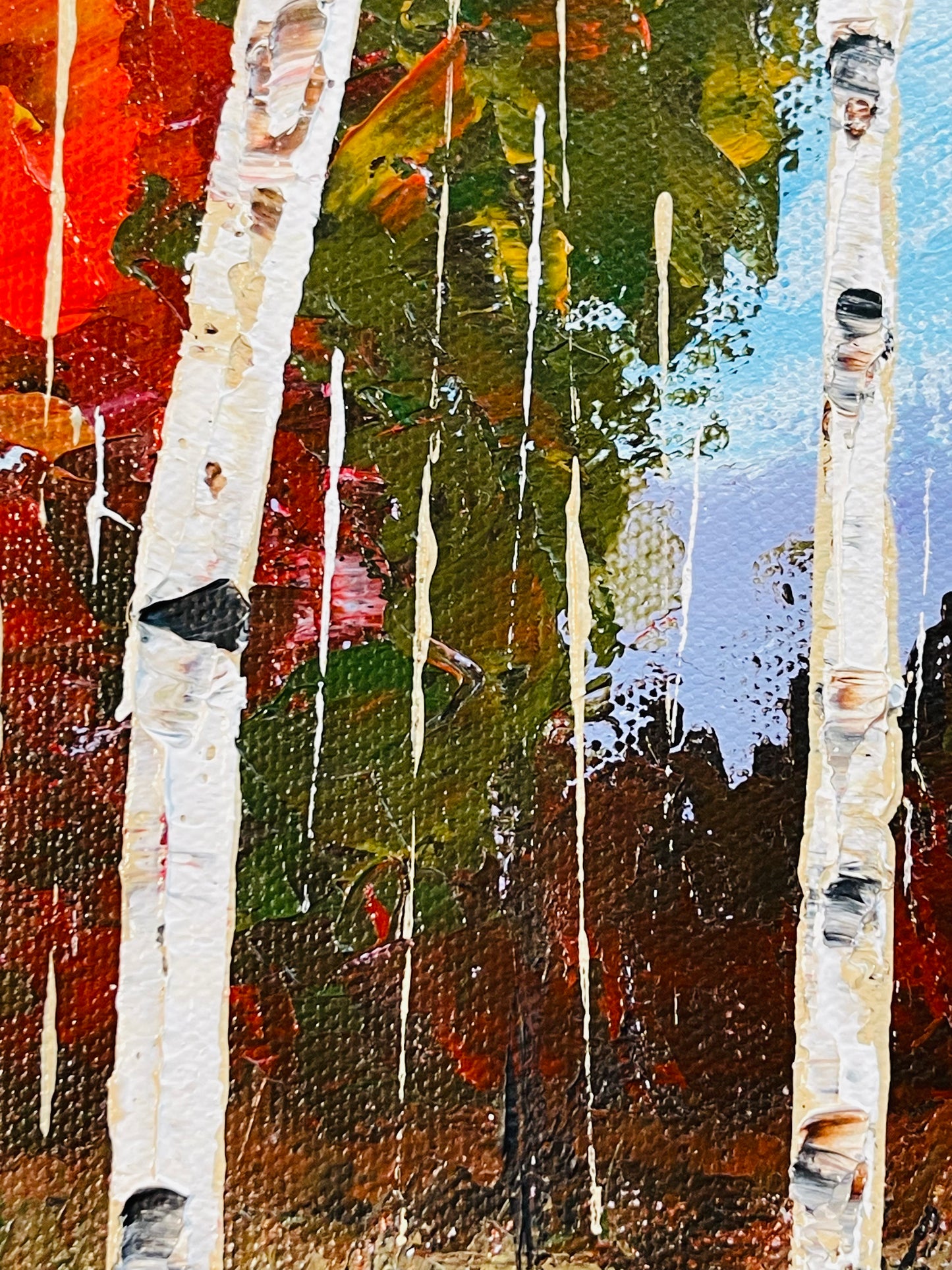 Aspen - reds and greens