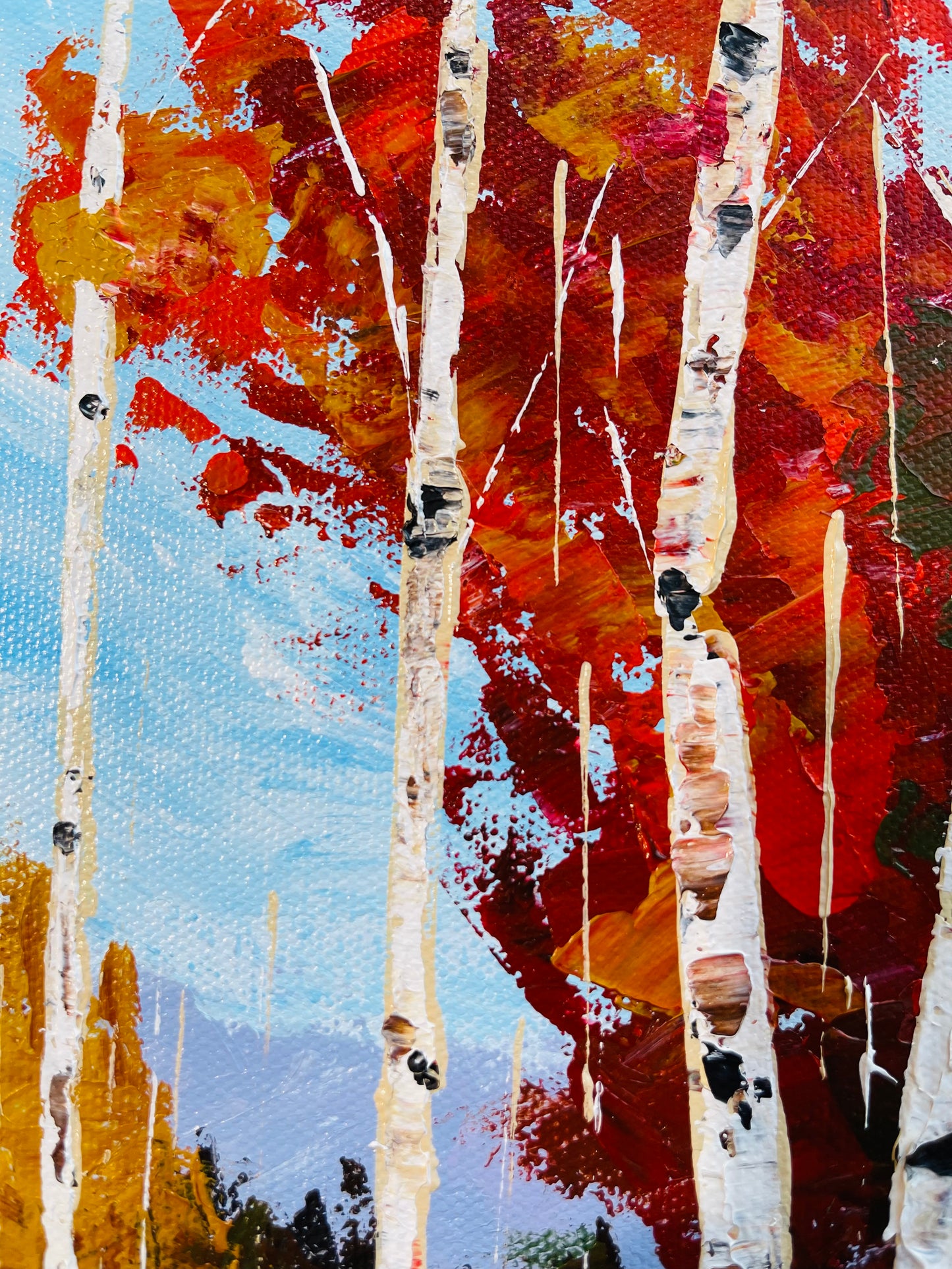 Aspen - reds and greens