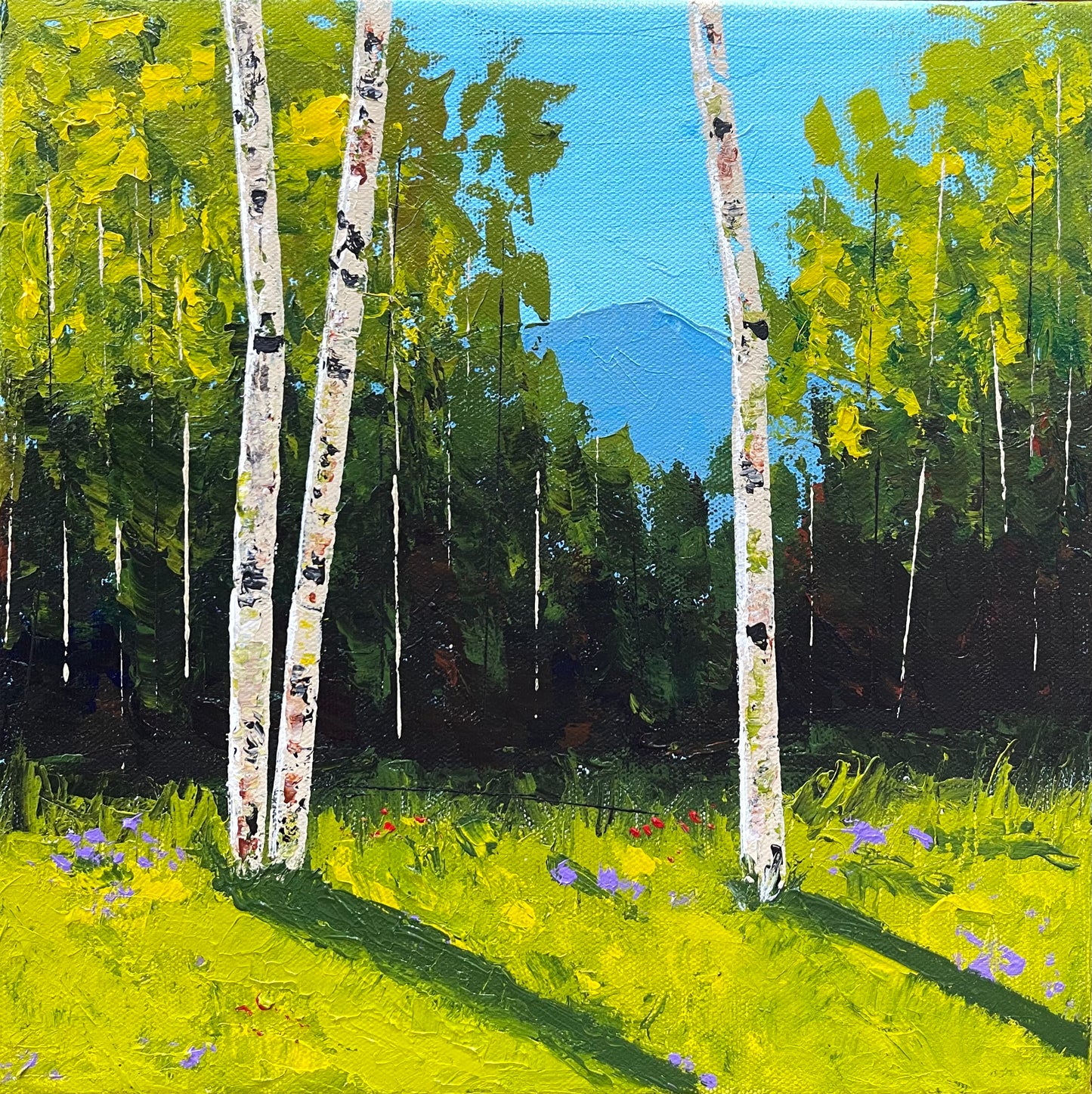 Colorado Summer Landscape with Aspen Trees