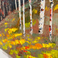 Fall colors Colorado Landscape - Flaming Foliage