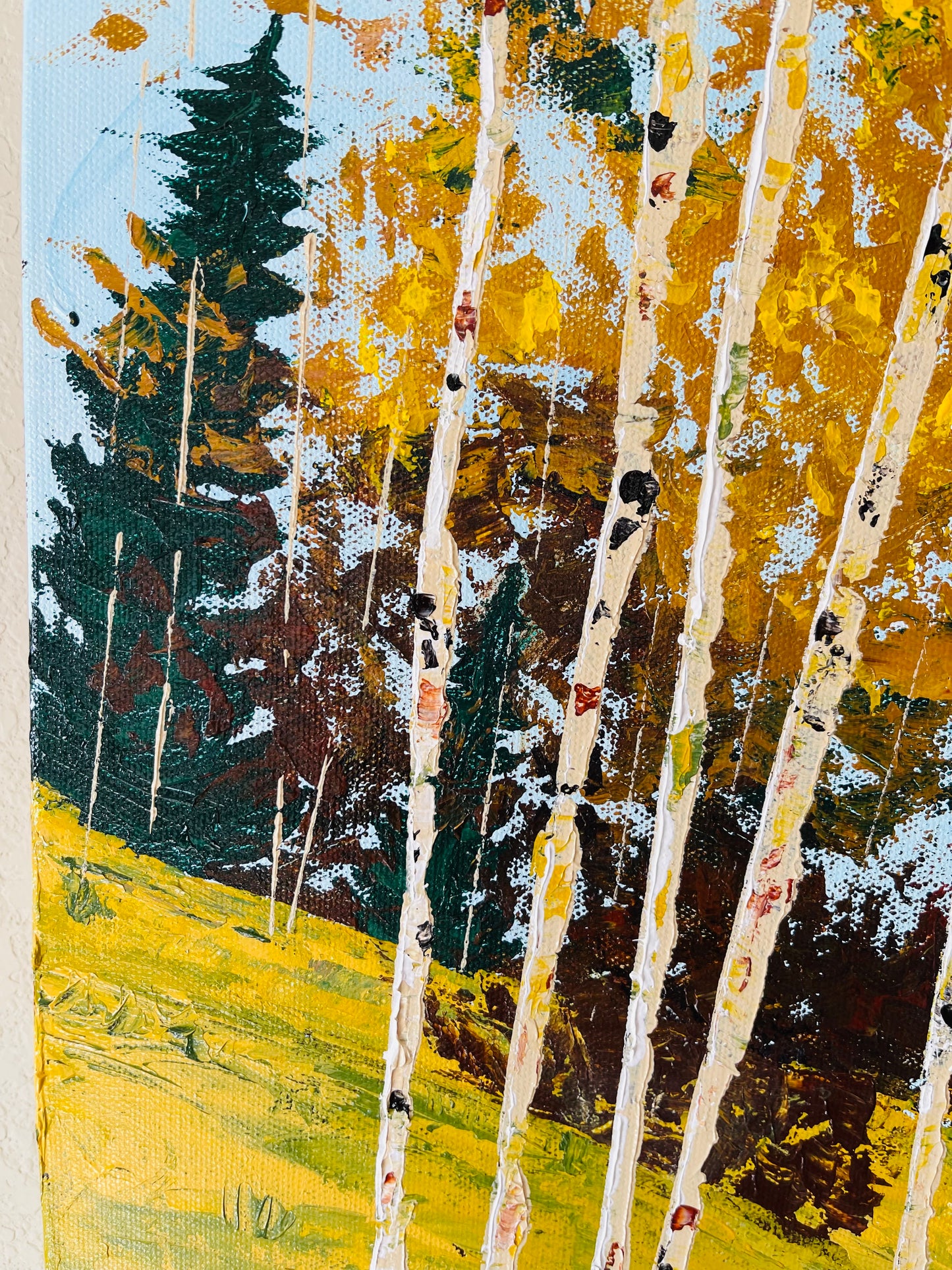 Slopes of Serenity - Colorado Fall colors