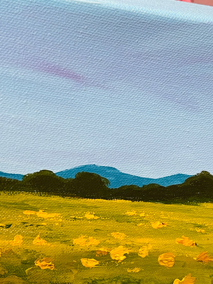Sunflower field - Fields of Gold