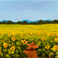 Sunflower field - Fields of Gold