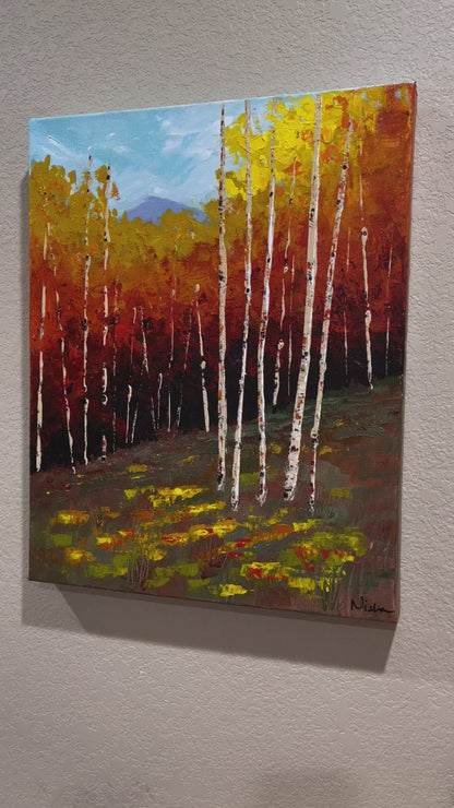 Fall colors Colorado Landscape - Flaming Foliage