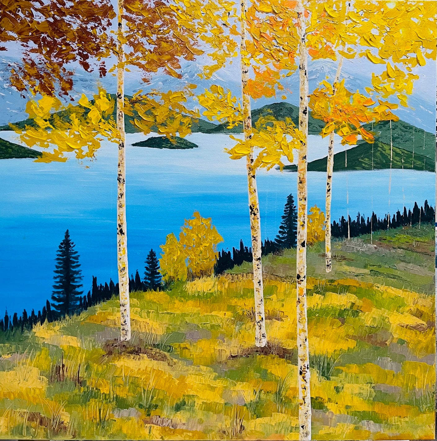 Aspen Trees near a Lake