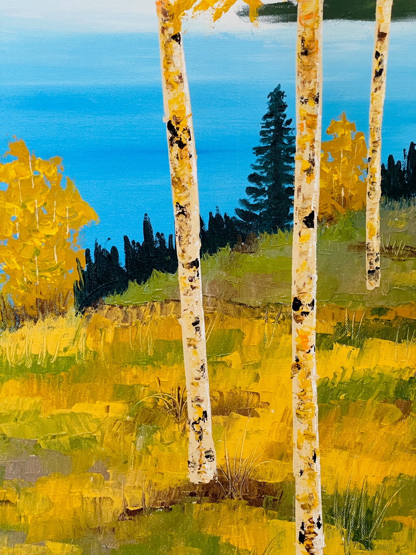 Aspen Trees near a Lake