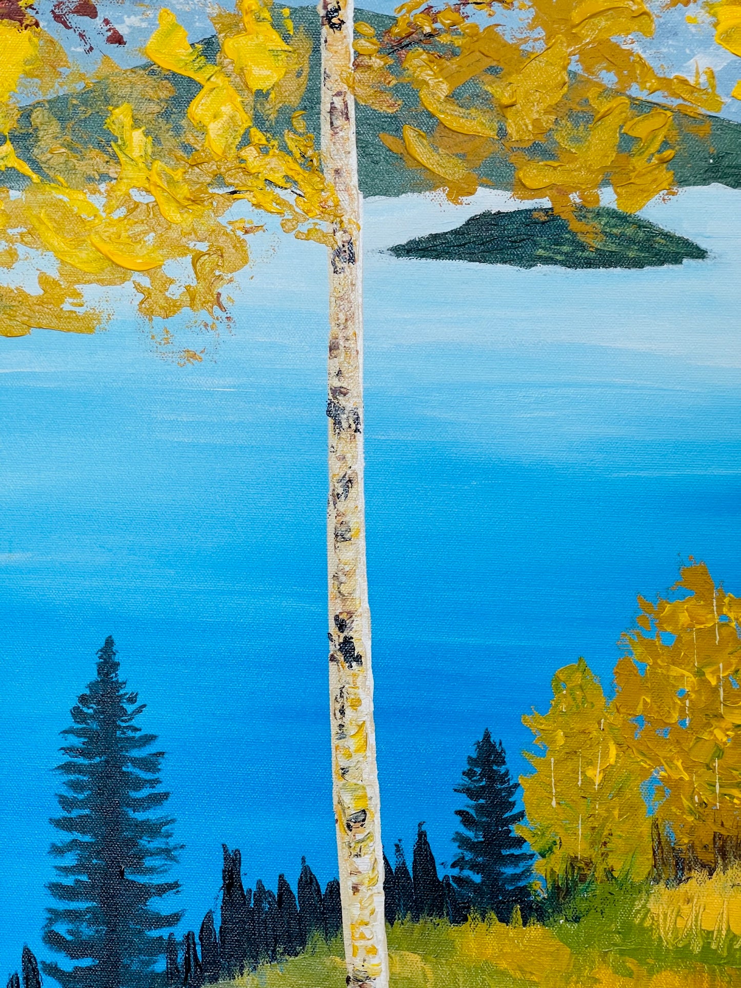 Aspen Trees near a Lake
