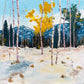 Colorado Winter Landscape with Aspen Trees