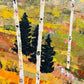 Colorado Landscape Painting - Aspen Grove in Fall