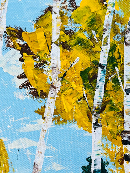 Aspens with a trail