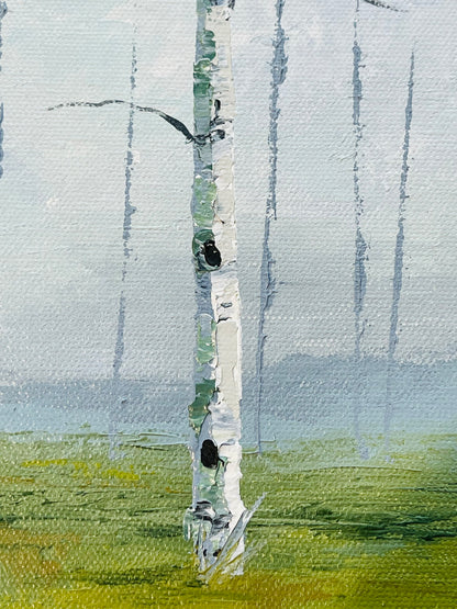 Foggy Aspens