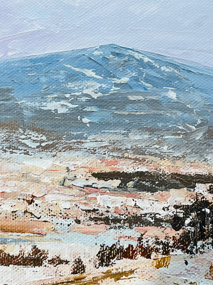 Snowy fields