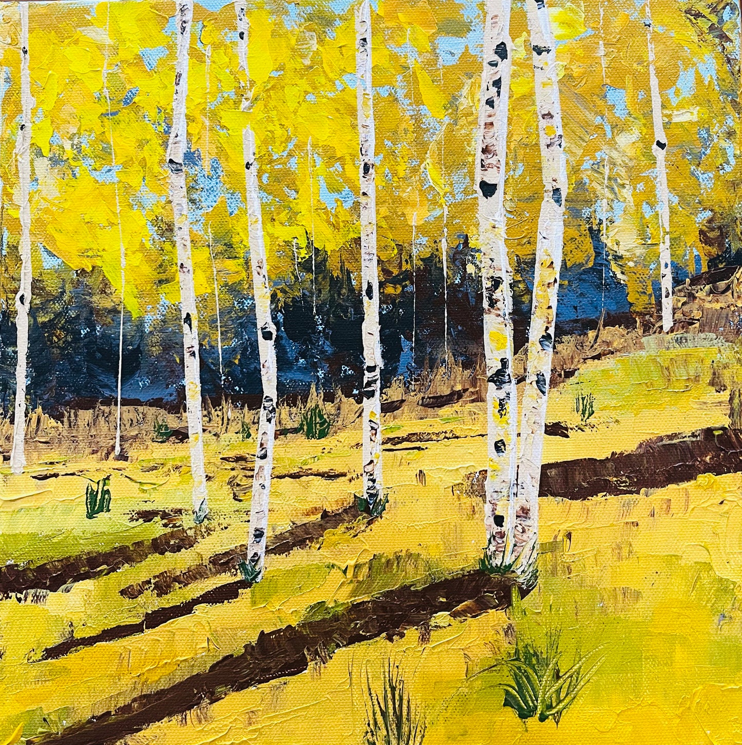 Colorado Fall Landscape with Aspen Trees