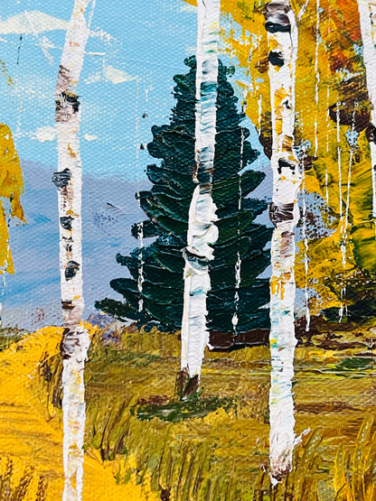 Aspens with a trail