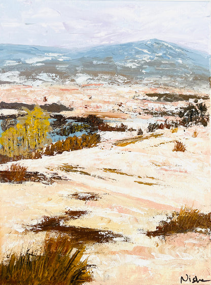 Snowy fields