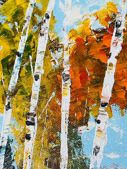 Aspens with a trail