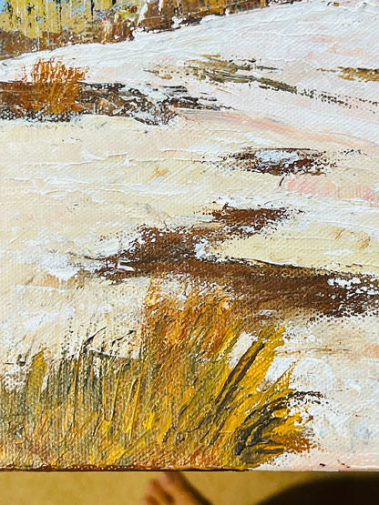 Snowy fields