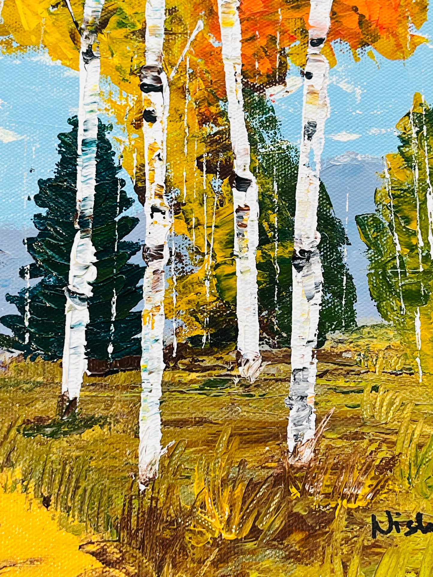 Aspens with a trail