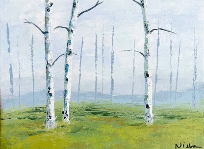 Foggy Aspens